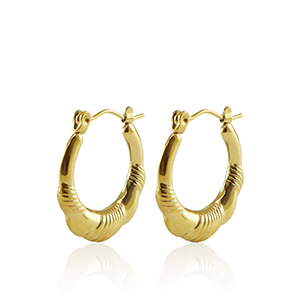 Oorbellen van Stainless steel Roestvrij staal (RVS) creolen 20mm Gold