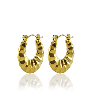 Oorbellen van Stainless steel Roestvrij staal (RVS) creolen 20mm Gold