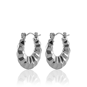 Oorbellen van Stainless steel Roestvrij staal (RVS) creolen 20mm Silver