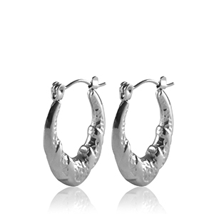 Oorbellen van Stainless steel Roestvrij staal (RVS) creolen oval Silver