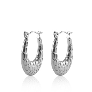Oorbellen van Stainless steel Roestvrij staal (RVS) creolen oval Silver