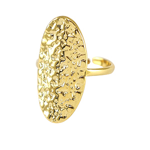 Ringen van Stainless steel Roestvrij staal (RVS) oval Goud
