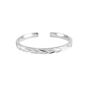 Ringen van Stainless steel Roestvrij staal (RVS) Zilver