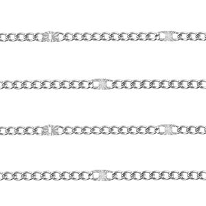Benodigdheden van Stainless steel Roestvrij staal (RVS) jasseron gourmet Silver