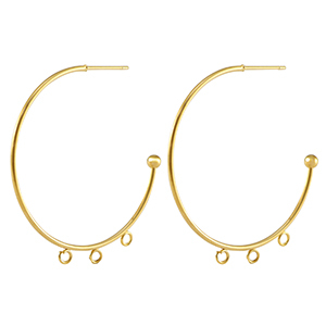 Oorbellen van Stainless steel Roestvrij staal (RVS) oorstekers creolen Gold