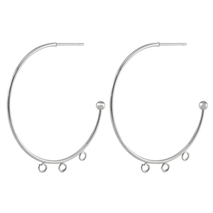 Oorbellen van Stainless steel Roestvrij staal (RVS) oorstekers creolen Silver