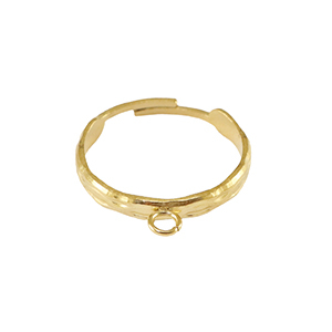 Ringen van Stainless steel Roestvrij staal (RVS)  met oogje Goud