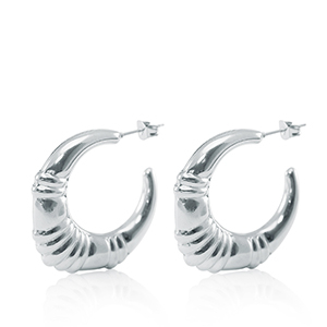 Oorbellen / oorstekers van Stainless steel Roestvrij staal (RVS) creolen oval Zilver
