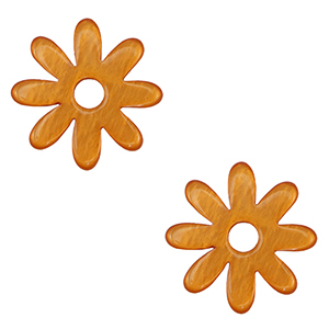 Polaris Elements Lucido hangers flower Carrot orange