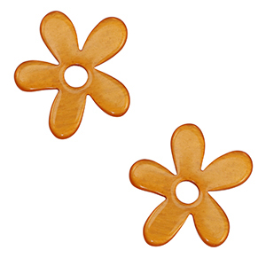 Polaris Elements Lucido hangers flower Carrot orange