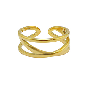 Ringen van Stainless steel Roestvrij staal (RVS) Goud