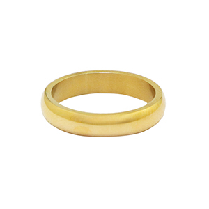 Ringen van Stainless steel Roestvrij staal (RVS) Goud