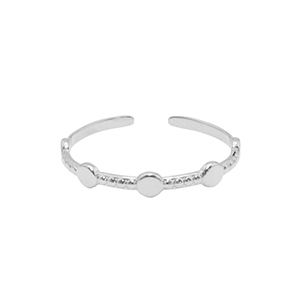 Ringen van Stainless steel Roestvrij staal (RVS) Zilver