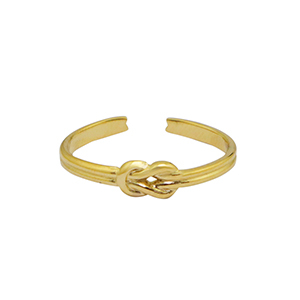 Ringen van Stainless steel Roestvrij staal (RVS) Goud