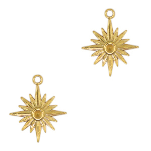 Bedels van Stainless steel Roestvrij staal (RVS) sun Goud