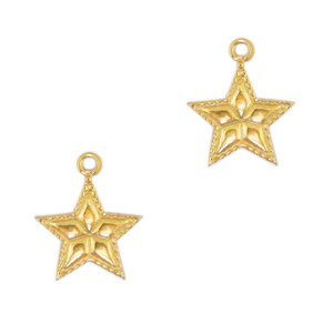 Bedels van Stainless steel Roestvrij staal (RVS) star Goud