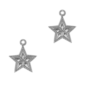 Bedels van Stainless steel Roestvrij staal (RVS) star Antiek zilver