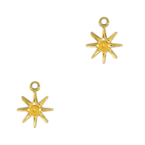 Bedels van Stainless steel Roestvrij staal (RVS) star Goud