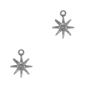 Bedels van Stainless steel Roestvrij staal (RVS) star Antiek zilver