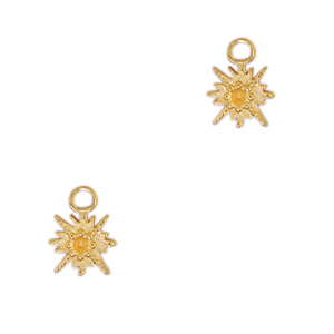 Bedels van Stainless steel Roestvrij staal (RVS) star Goud