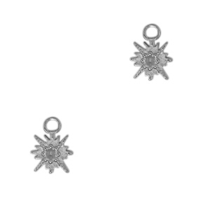 Bedels van Stainless steel Roestvrij staal (RVS) star Antiek zilver