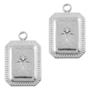 Bedels van Stainless steel Roestvrij staal (RVS) star Zilver
