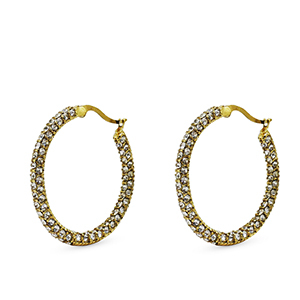 Roestvrij stalen (RVS) Stainless steel oorbellen zirkonia creolen Gold