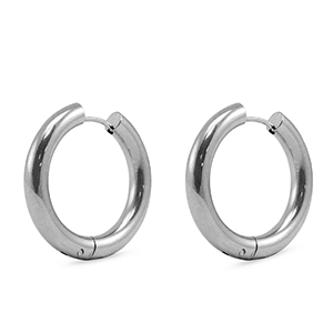 Roestvrij stalen (RVS) Stainless steel oorbellen creolen Silver