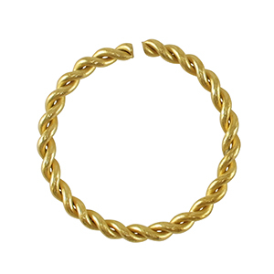 Benodigdheden van Stainless steel Roestvrij staal (RVS) buigring Gold