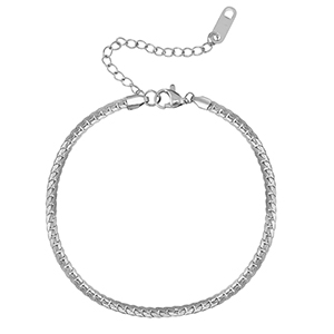 Armbanden van Stainless steel Roestvrij staal (RVS) Silver
