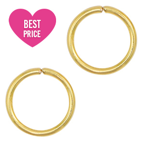 Benodigdheden van Stainless steel Roestvrij staal (RVS) buigring 10mm Goud