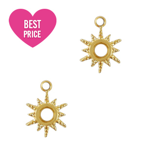 Bedels van Stainless steel Roestvrij staal (RVS) star Goud