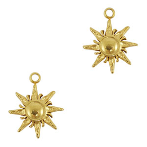 Bedels van Stainless steel Roestvrij staal (RVS) sun Gold
