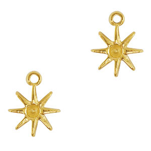 Bedels van Stainless steel Roestvrij staal (RVS) star Gold