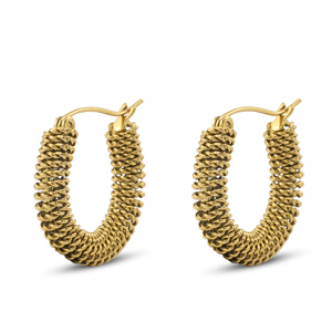 Oorbellen / oorstekers van Stainless steel Roestvrij staal (RVS) Gold