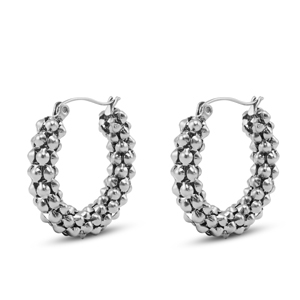 Oorbellen / oorstekers van Stainless steel Roestvrij staal (RVS) Silver