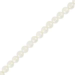 Schelp kralen round White