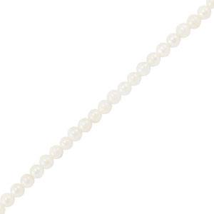Schelp kralen round White