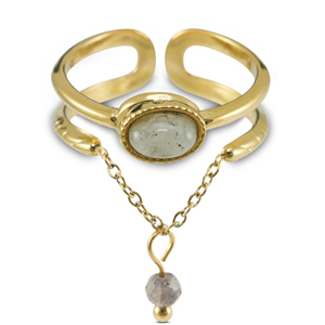 Ringen van Stainless steel Roestvrij staal (RVS) met natuursteen Gold-greenish grey