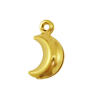 Bedels van Stainless steel Roestvrij staal (RVS) moon Gold