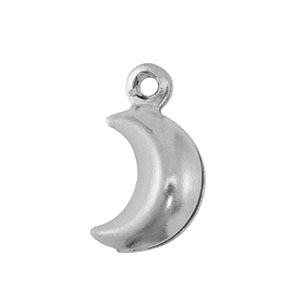 Bedels van Stainless steel Roestvrij staal (RVS) moon Silver