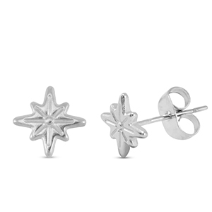 Oorbellen / oorstekers van Stainless steel Roestvrij staal (RVS) star Silver