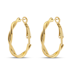 Roestvrij stalen (RVS) Stainless steel oorbellen creolen Gold
