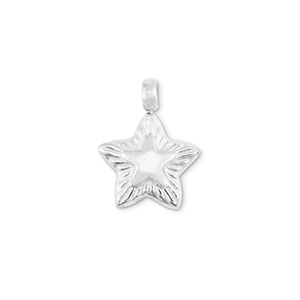 Bedels van Stainless steel Roestvrij staal (RVS) star Silver