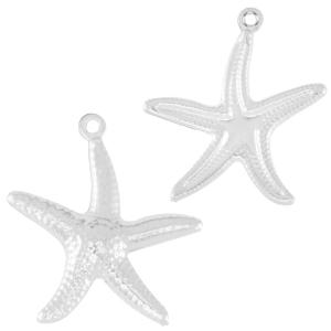 Bedels van Stainless steel Roestvrij staal (RVS) starfish Silver