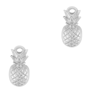 Bedels van Stainless steel Roestvrij staal (RVS) pineapple Silver