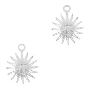 Bedels van Stainless steel Roestvrij staal (RVS) sun Silver