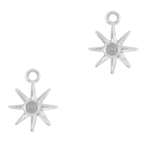 Bedels van Stainless steel Roestvrij staal (RVS) star Silver