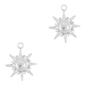 Bedels van Stainless steel Roestvrij staal (RVS) sun Silver