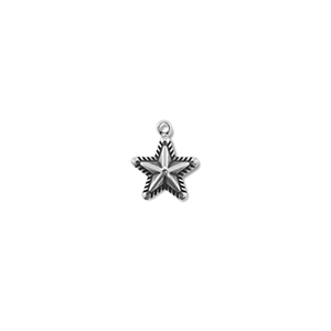 Bedels van Stainless steel Roestvrij staal (RVS) star Silver